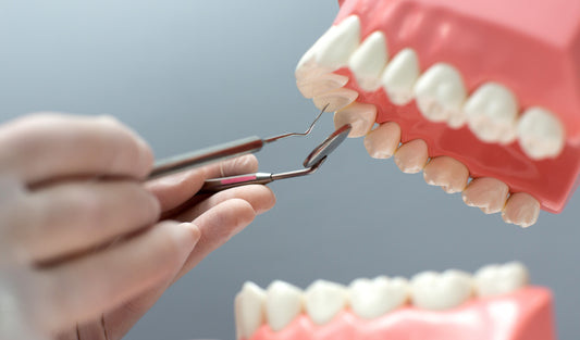 ARTICULACIÓN TEMPOROMANDIBULAR